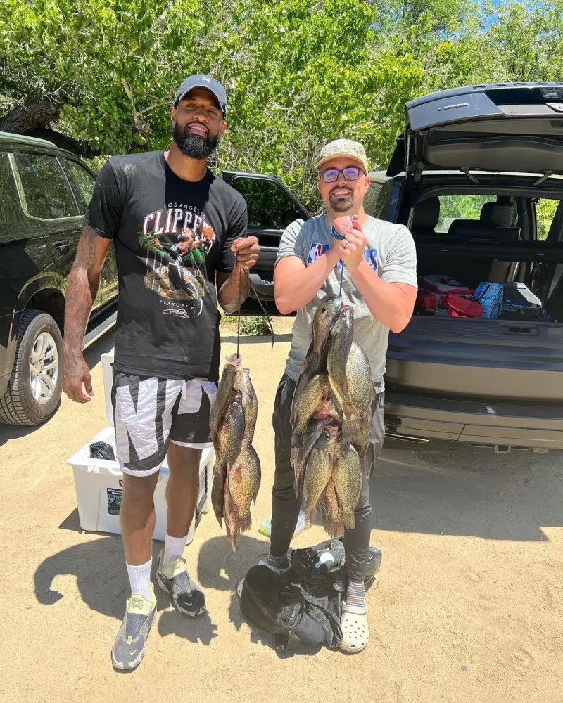 詹姆斯再次 詹姆斯再次